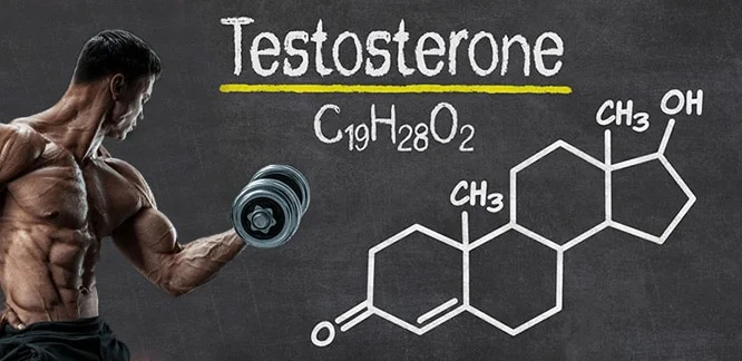 Testosteron Enanthate Hakkkında Geniş Bilgi 1 – Testosteron Enanthate Hakkkında testosteron enantad
