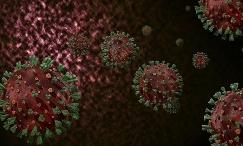 maymun çiçeği virüsü